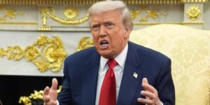 Trump, el Ganso Bufón